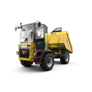 DV100